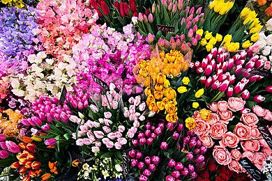 I社新《VR女友》确定2025年2月发售 女主角详情公开